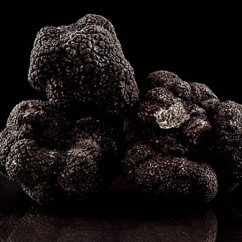 Black truffle sauce 2.jpg